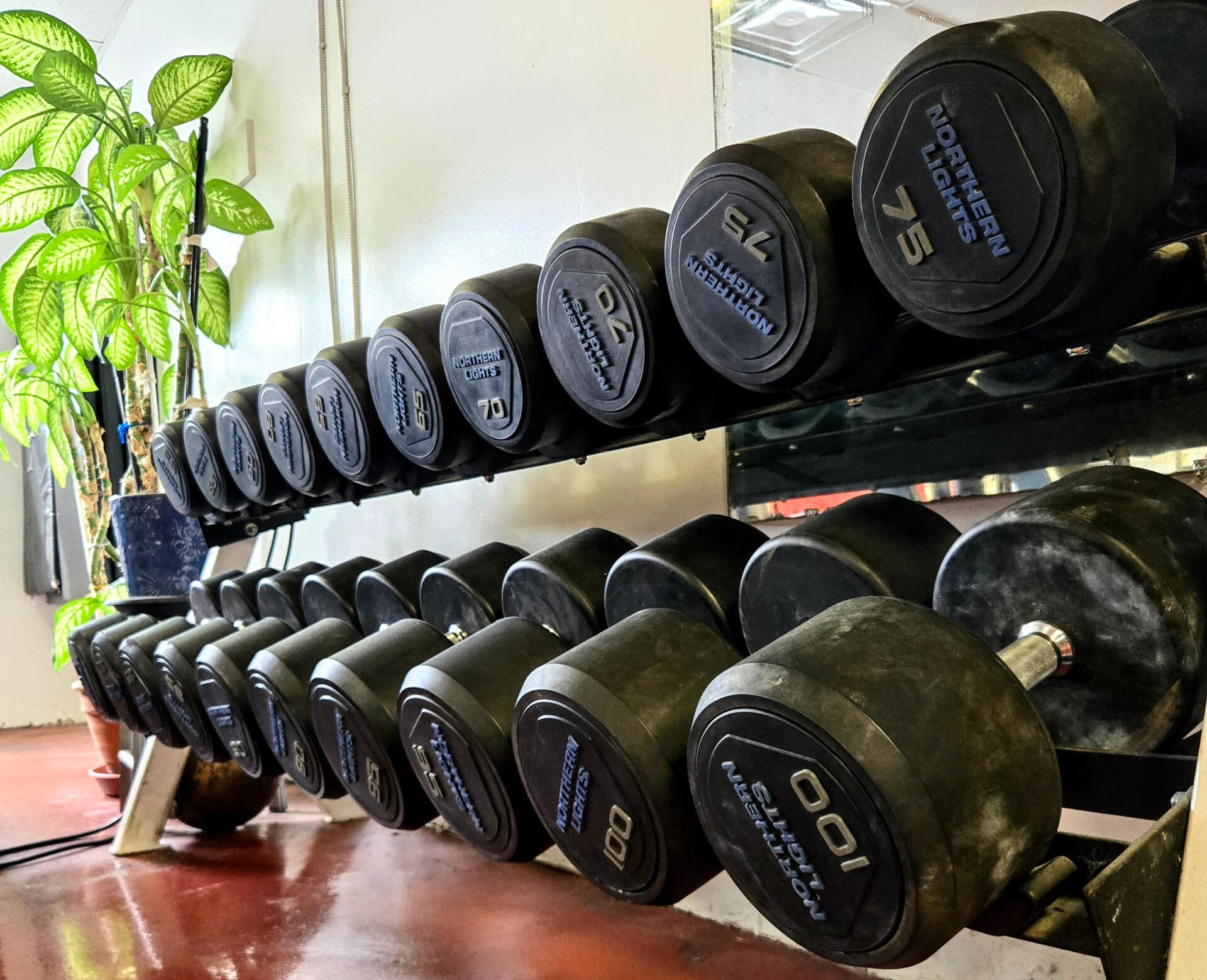 Dumbbells Versatile training options with dumbbell weight training